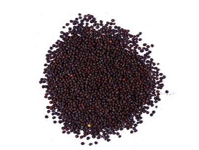 Mohari / Rai (Mustard Seeds) 250g